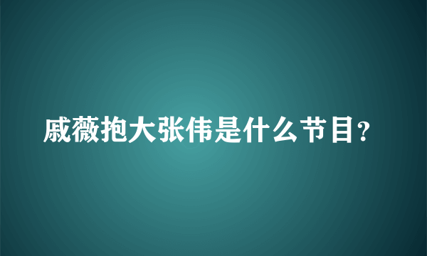 戚薇抱大张伟是什么节目？