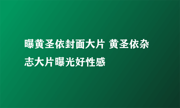 曝黄圣依封面大片 黄圣依杂志大片曝光好性感