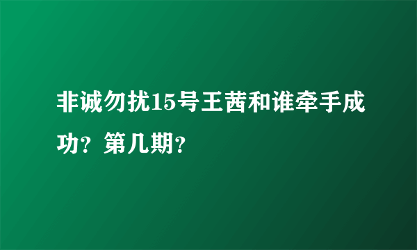 非诚勿扰15号王茜和谁牵手成功？第几期？