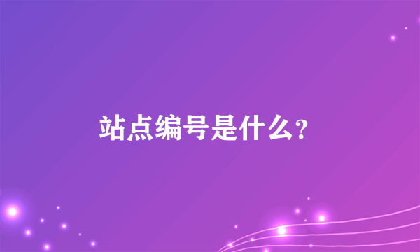 站点编号是什么？