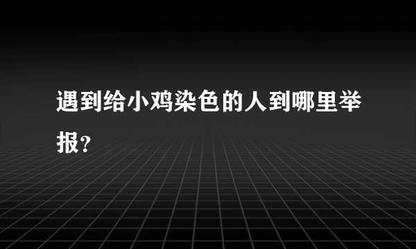 遇到给小鸡染色的人到哪里举报？