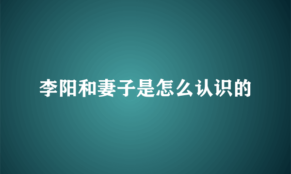 李阳和妻子是怎么认识的