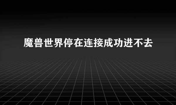 魔兽世界停在连接成功进不去