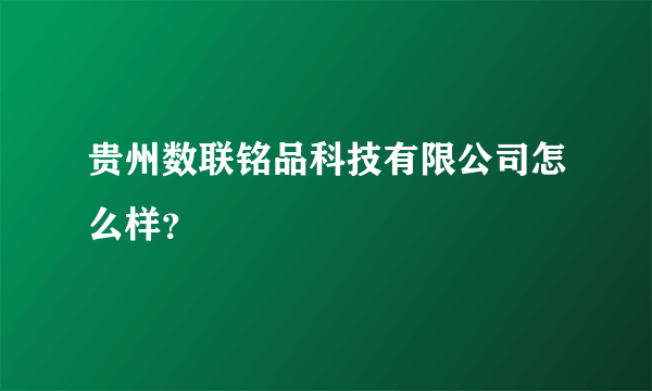 贵州数联铭品科技有限公司怎么样？