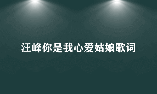 汪峰你是我心爱姑娘歌词