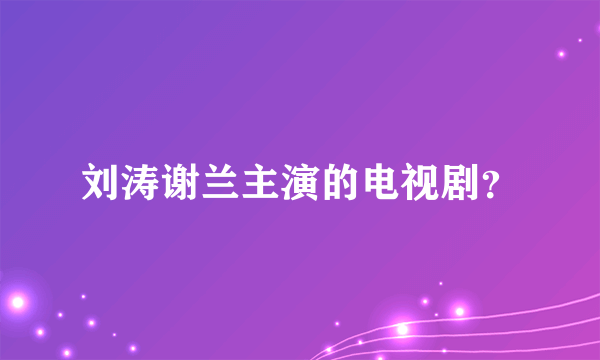 刘涛谢兰主演的电视剧？