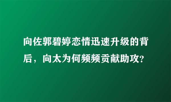 向佐郭碧婷恋情迅速升级的背后，向太为何频频贡献助攻？