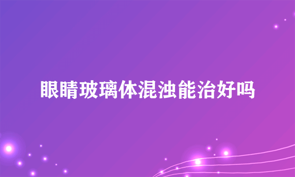 眼睛玻璃体混浊能治好吗