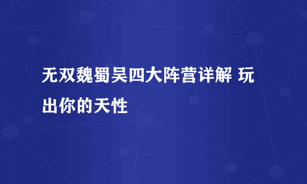 无双魏蜀吴四大阵营详解 玩出你的天性