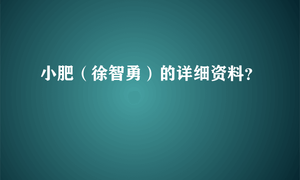 小肥（徐智勇）的详细资料？