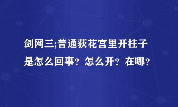 剑网三;普通荻花宫里开柱子是怎么回事？怎么开？在哪？