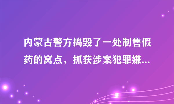 内蒙古警方捣毁了一处制售假药的窝点，抓获涉案犯罪嫌疑人两名，查获假药17万瓶, 你怎么看？