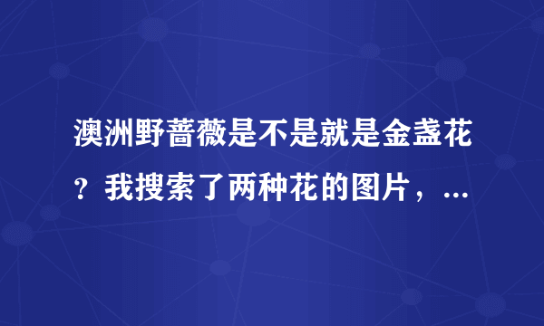 澳洲野蔷薇是不是就是金盏花？我搜索了两种花的图片，蛮像的，只是澳洲野蔷薇的花色是紫色。