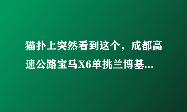 猫扑上突然看到这个，成都高速公路宝马X6单挑兰博基尼 ，很是好奇，跪求其飙车视频！