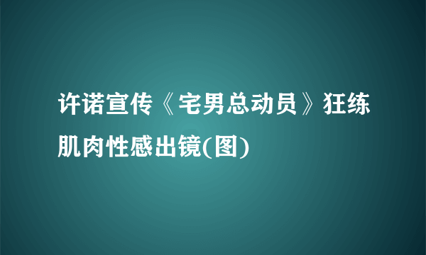 许诺宣传《宅男总动员》狂练肌肉性感出镜(图)