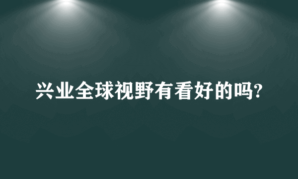 兴业全球视野有看好的吗?