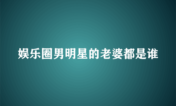 娱乐圈男明星的老婆都是谁