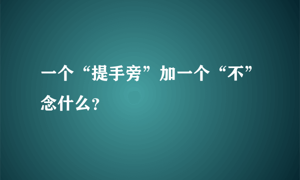 一个“提手旁”加一个“不”念什么？