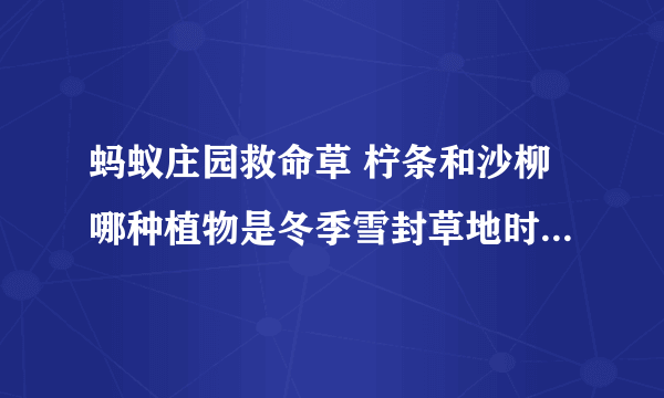 蚂蚁庄园救命草 柠条和沙柳哪种植物是冬季雪封草地时动物的救命草