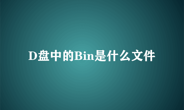 D盘中的Bin是什么文件