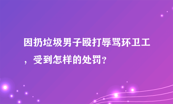 因扔垃圾男子殴打辱骂环卫工，受到怎样的处罚？