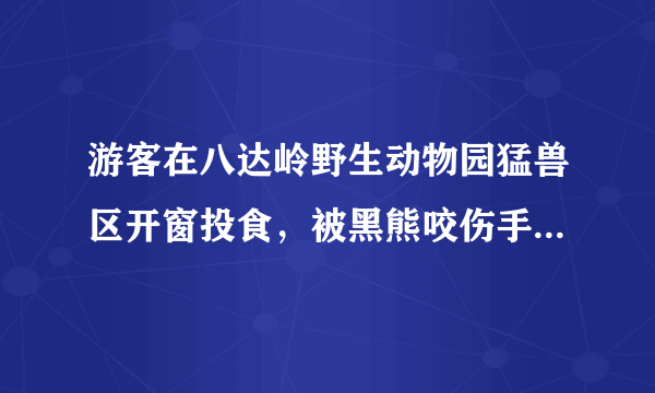 游客在八达岭野生动物园猛兽区开窗投食，被黑熊咬伤手臂，你怎么看？