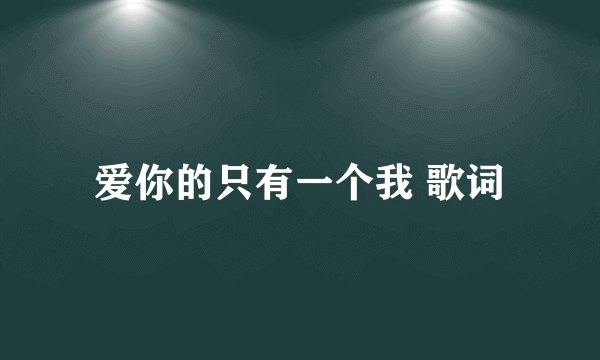 爱你的只有一个我 歌词