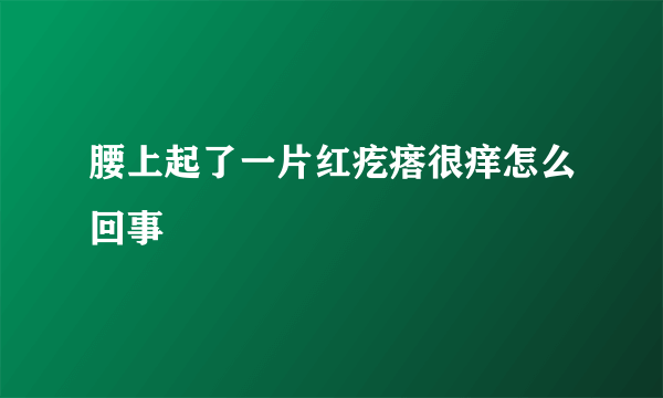 腰上起了一片红疙瘩很痒怎么回事