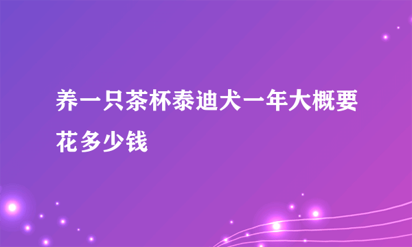 养一只茶杯泰迪犬一年大概要花多少钱