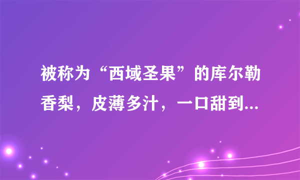 被称为“西域圣果”的库尔勒香梨，皮薄多汁，一口甜到你的心坎里