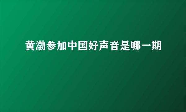 黄渤参加中国好声音是哪一期