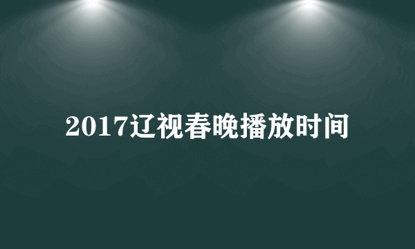 2017辽视春晚播放时间