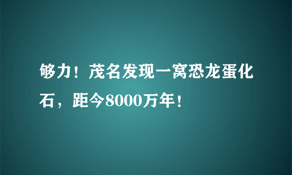 够力！茂名发现一窝恐龙蛋化石，距今8000万年！