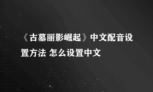 《古墓丽影崛起》中文配音设置方法 怎么设置中文