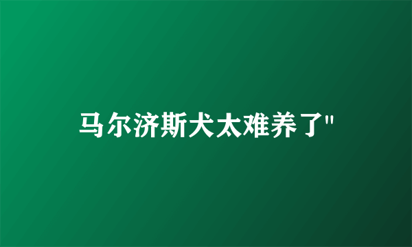 马尔济斯犬太难养了