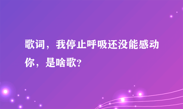 歌词，我停止呼吸还没能感动你，是啥歌？