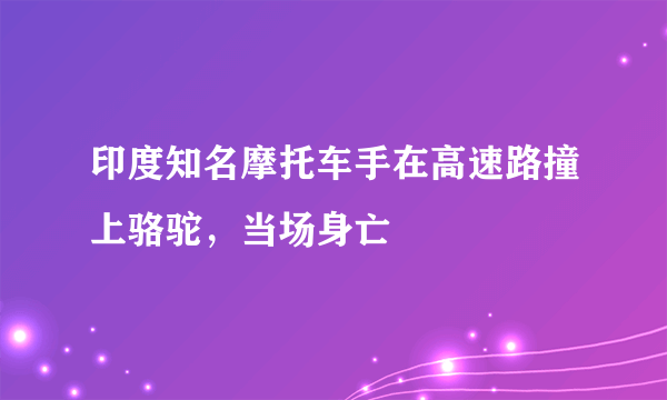 印度知名摩托车手在高速路撞上骆驼，当场身亡