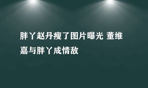 胖丫赵丹瘦了图片曝光 董维嘉与胖丫成情敌