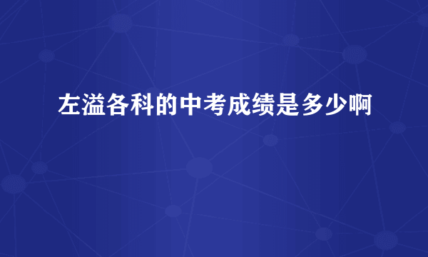 左溢各科的中考成绩是多少啊