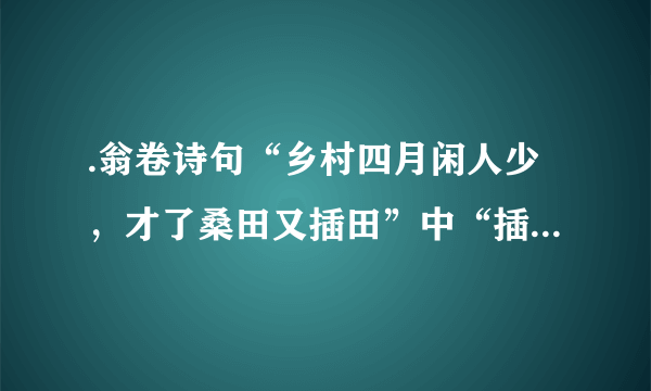 .翁卷诗句“乡村四月闲人少，才了桑田又插田”中“插田”一词，用的是（）？