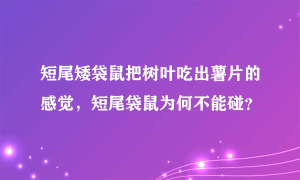 短尾矮袋鼠把树叶吃出薯片的感觉，短尾袋鼠为何不能碰？