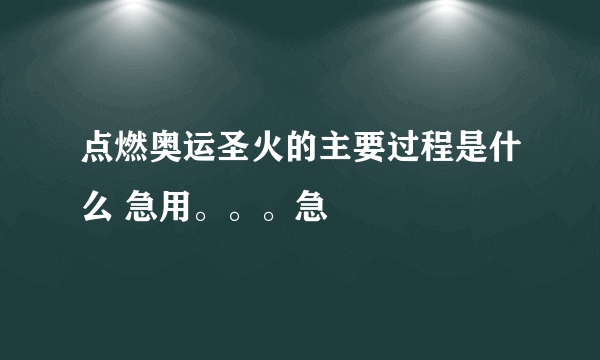 点燃奥运圣火的主要过程是什么 急用。。。急