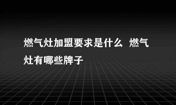 燃气灶加盟要求是什么  燃气灶有哪些牌子