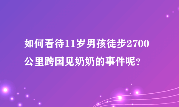 如何看待11岁男孩徒步2700公里跨国见奶奶的事件呢？