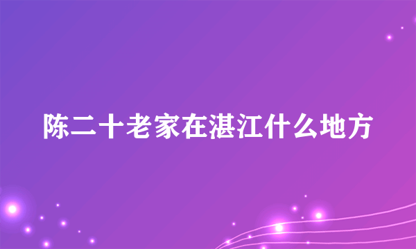 陈二十老家在湛江什么地方