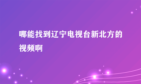 哪能找到辽宁电视台新北方的视频啊