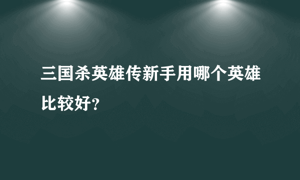 三国杀英雄传新手用哪个英雄比较好？