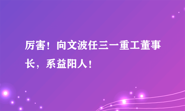 厉害！向文波任三一重工董事长，系益阳人！