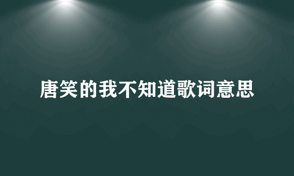 唐笑的我不知道歌词意思