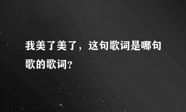 我美了美了，这句歌词是哪句歌的歌词？